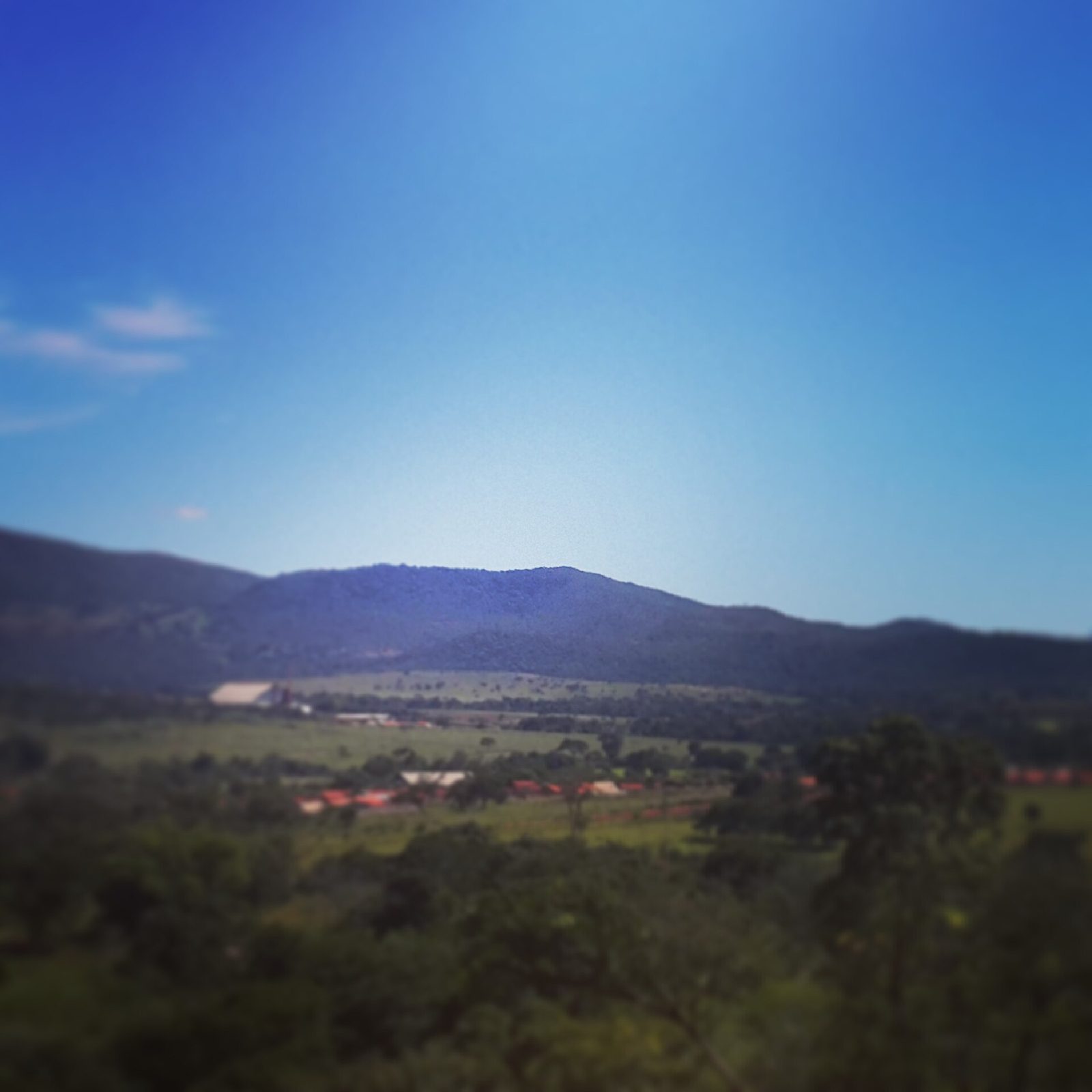 Paisagem representativa — Cerrado